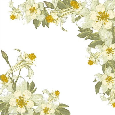 手繪花卉與牛肉 藝術與美食的交融