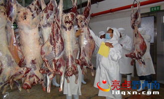 晴隆電力賦能，海權(quán)牛肉加工廠奏響品牌發(fā)展新篇章