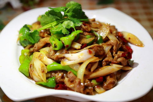 美味瞬間 牛肉與羊肉的視覺盛宴——中國菜系餐飲圖片素材下載指南