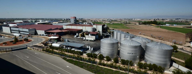 精煉生活，滋養(yǎng)未來(lái)——XX油脂公司簡(jiǎn)介